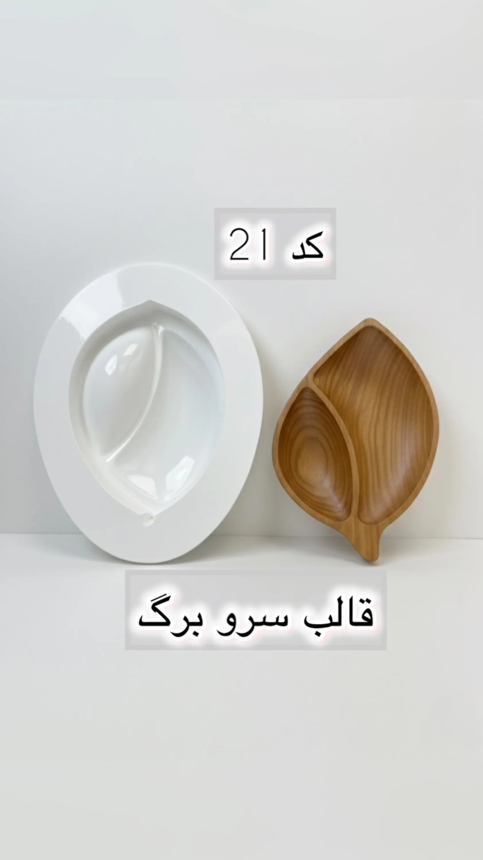 قالب طلقی کد  21